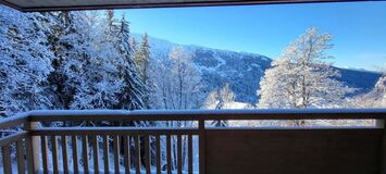 Appartement à louer à Méribel