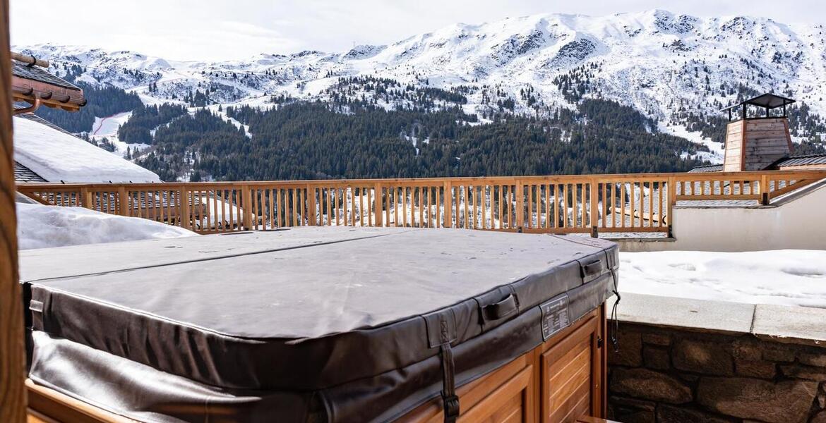 Luxury apartment for rent in Meribel