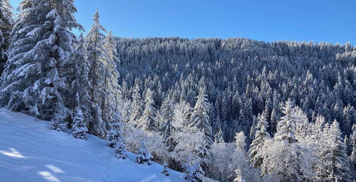 Apartment for rent in Courchevel Moriond