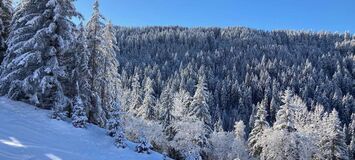 Apartment for rent in Courchevel Moriond