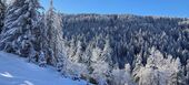 Apartment for rent in Courchevel Moriond