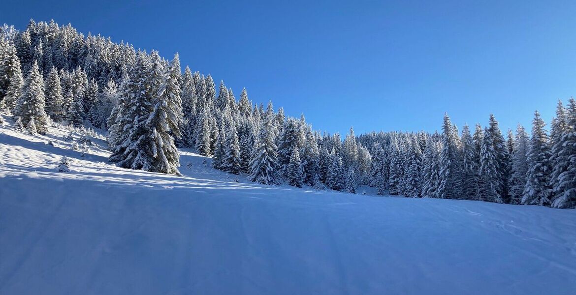 Apartment for rent in Courchevel Moriond