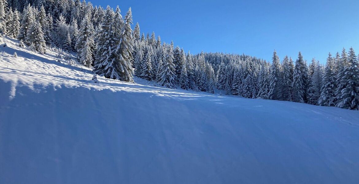 Apartment for rent in Courchevel Moriond