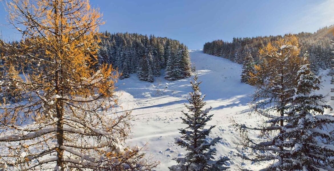 Appartement à louer à Courchevel Moriond