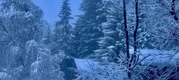 Apartamento en alquiler en Courchevel 1550