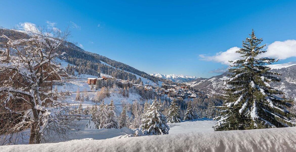 Chalet for rent in Courchevel 1650