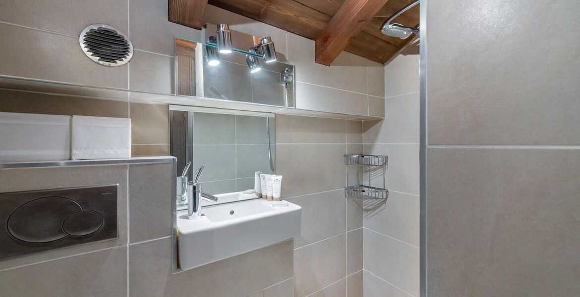 Chalet for rent in Meribel