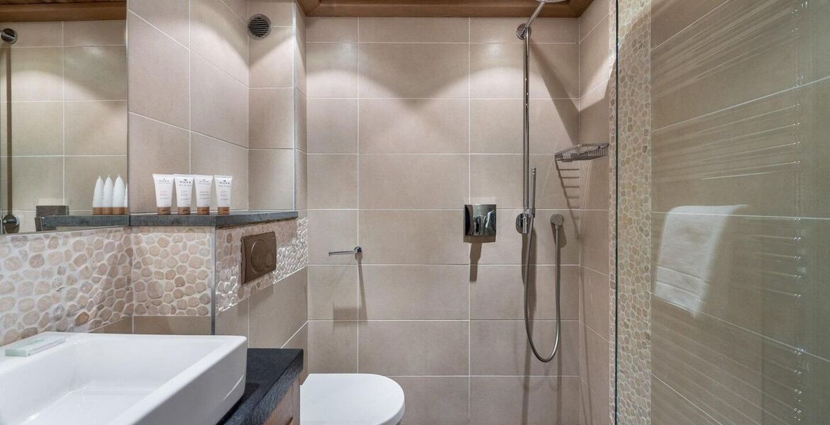 Chalet for rent in Meribel