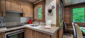 Chalet for rent in Meribel