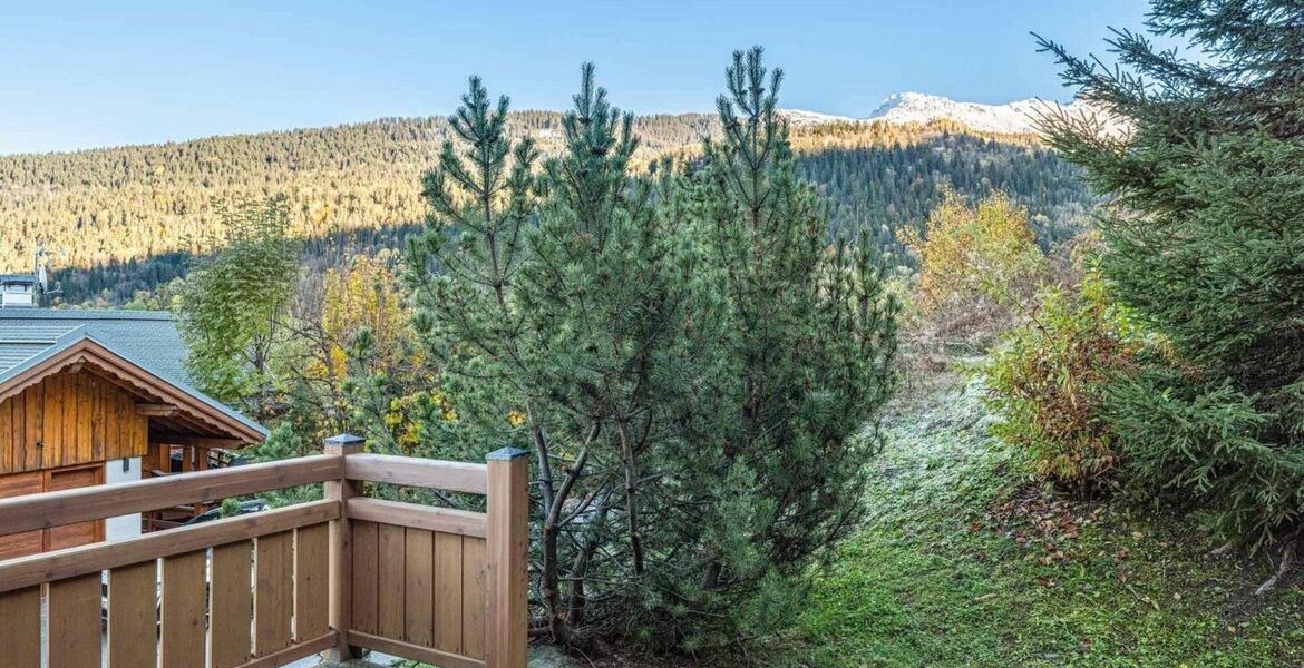 Chalet for rent in Meribel