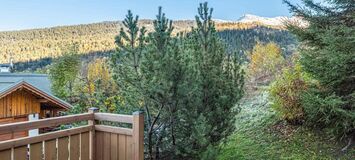 Chalet for rent in Meribel