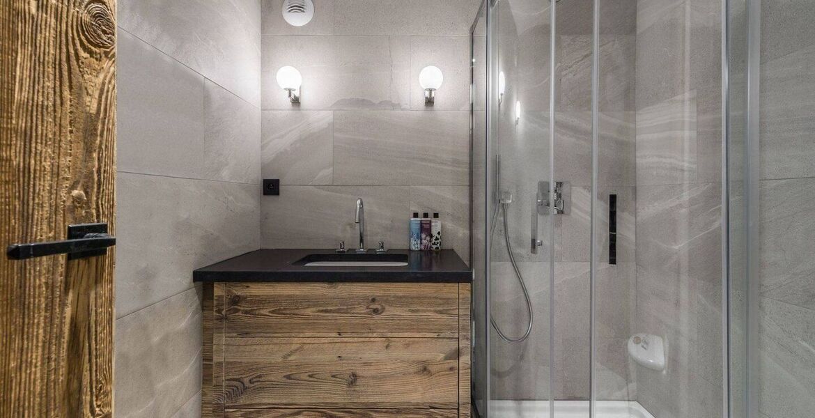 Chalet for rent in Meribel