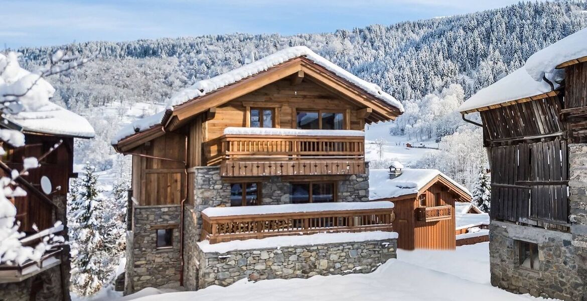 Chalet for rent in Meribel