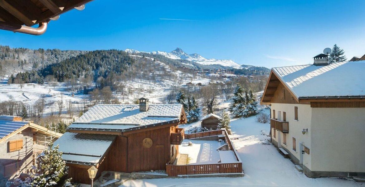 Chalet for rent in Meribel