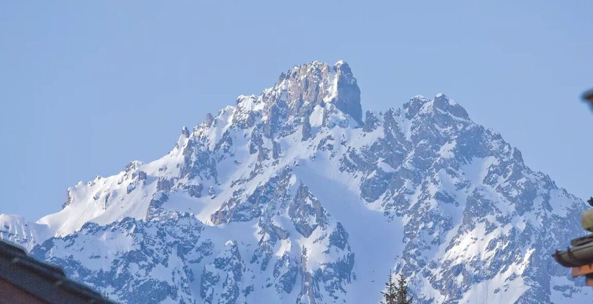 Chalet for rent in Courchevel 1850