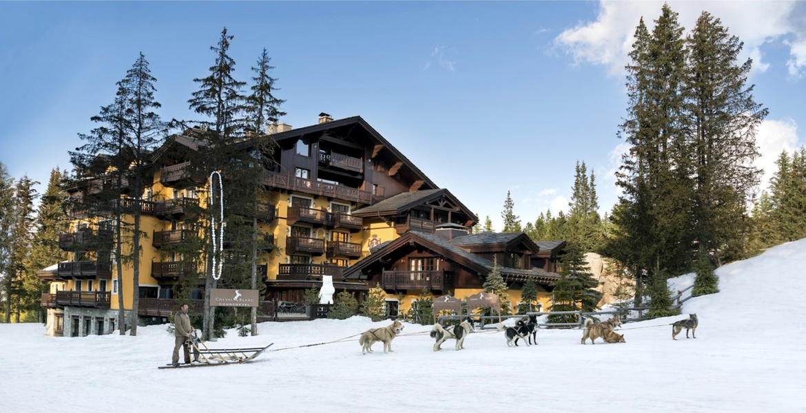 Excursion Inoubliable en Traîneau à Chiens à Courchevel 1850