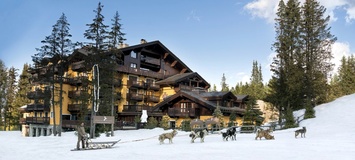 Excursion Inoubliable en Traîneau à Chiens à Courchevel 1850