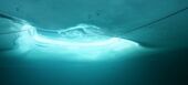 Ice diving
